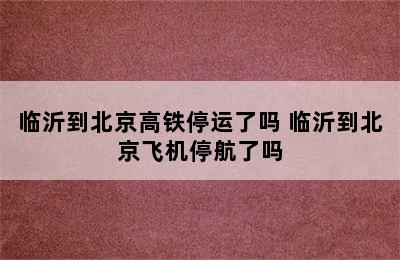 临沂到北京高铁停运了吗 临沂到北京飞机停航了吗